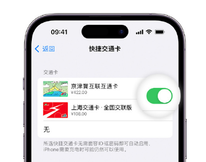 永春apple维修点分享iPhone上更换Apple Pay快捷交通卡手绘卡面 