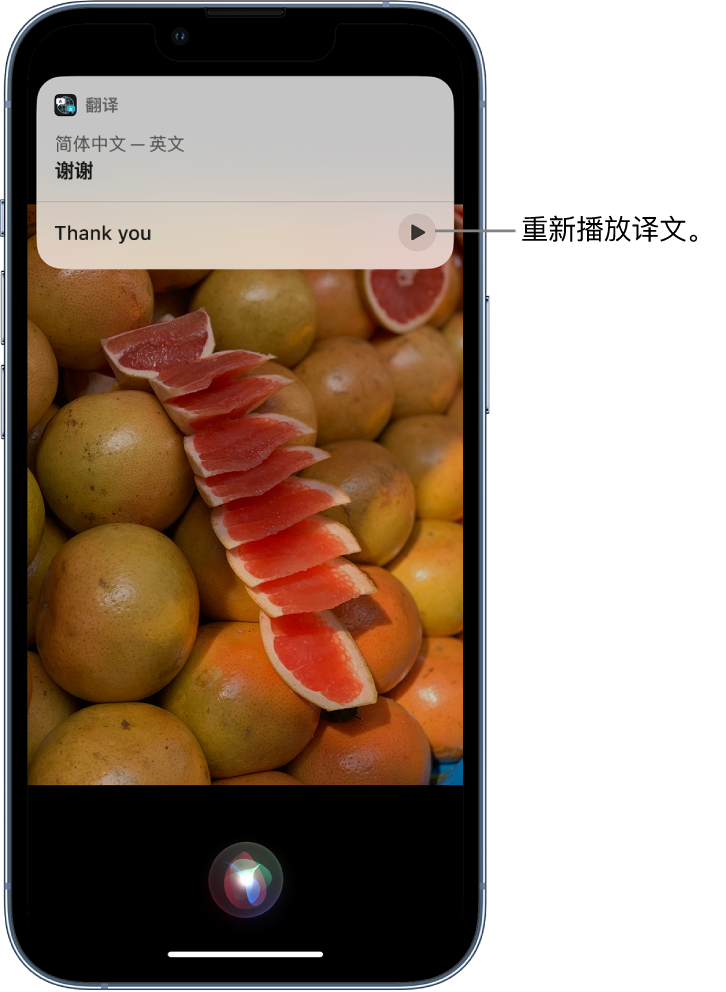 永春苹果14维修分享 iPhone 14 机型中使用 Siri：了解 Siri 能帮你做什么 