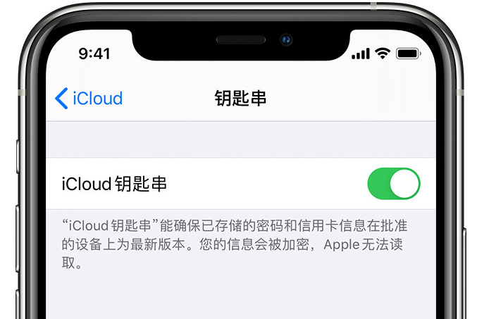 永春苹果手机维修分享在 iPhone 上开启 iCloud 钥匙串之后会储存哪些信息 