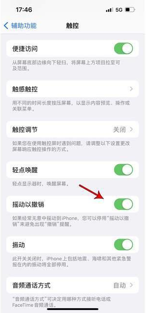 永春苹果手机维修分享iPhone手机如何设置摇一摇删除文字 